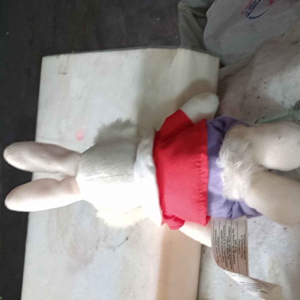 White Rabbit - Picture 2 of 3
